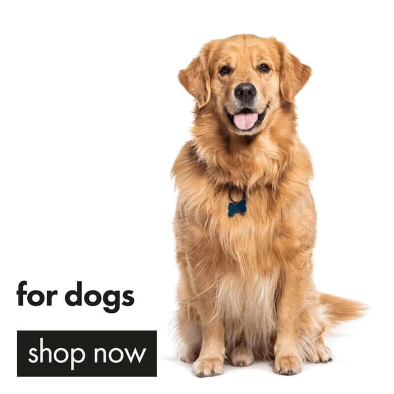 Pet Supplies Store Pet Food Products Supplies at Low Prices